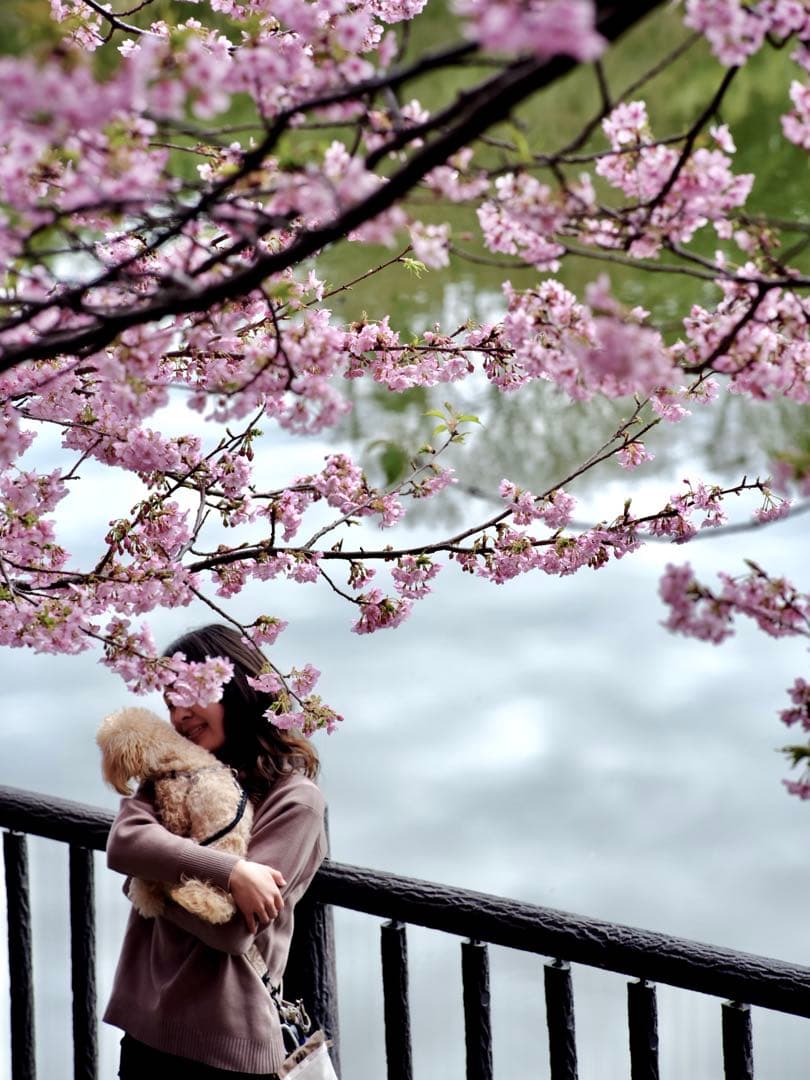 CONTAX Planar 135mm F2 AEG コンタックス プラナー