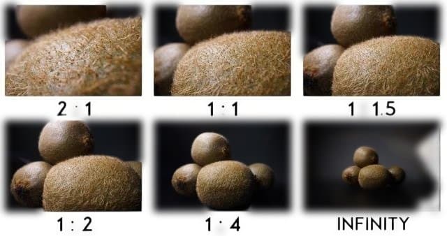 LAOWA 24mm F14 　2X Macro Probe Lens