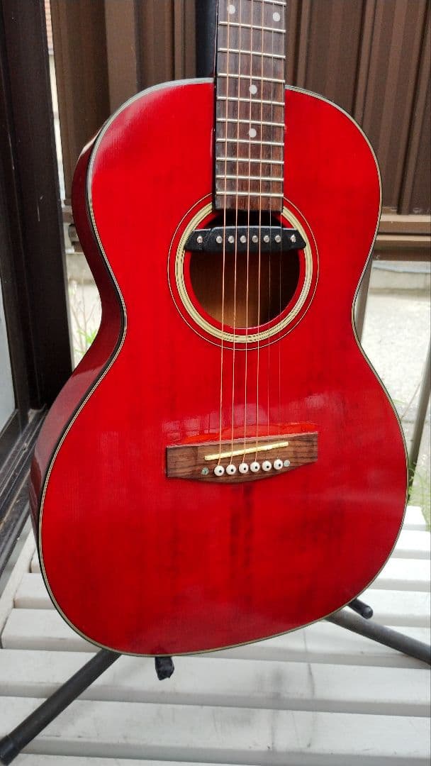 Takamine T-Series ニューヨーカー Wピックアップ付エレアコ