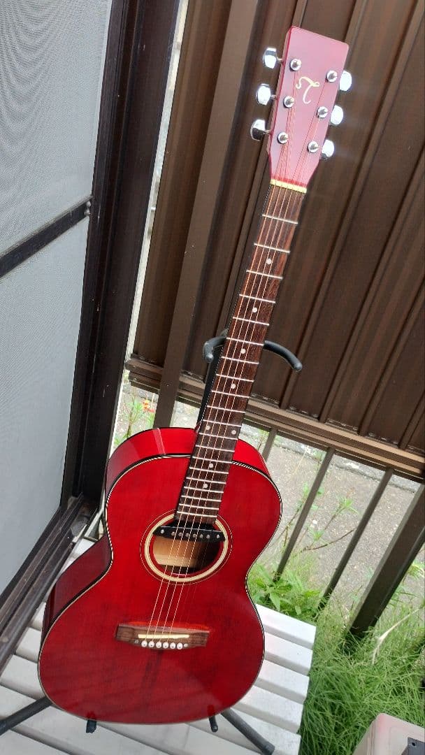 Takamine T-Series ニューヨーカー Wピックアップ付エレアコ