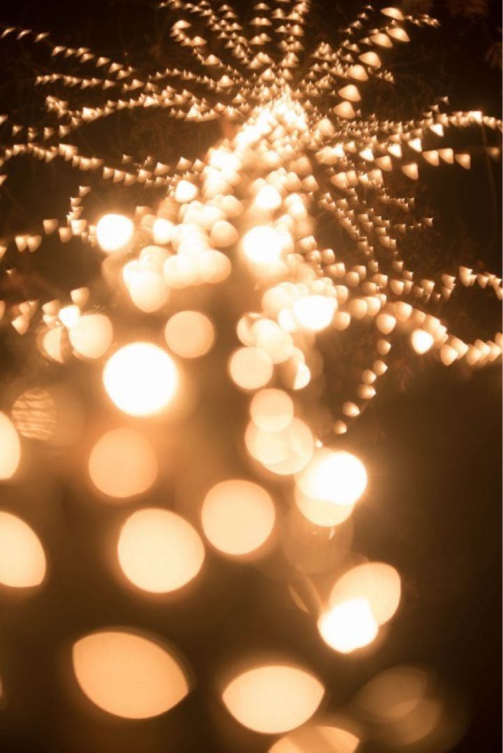 Summarit 50mm f/1.5 レンズ