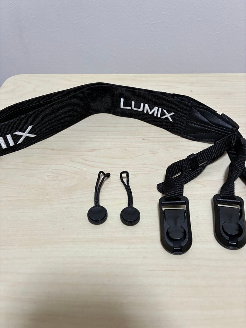 LUMIX ルミックス s5II DC-S5M2W 標準ズーム・単焦点キット