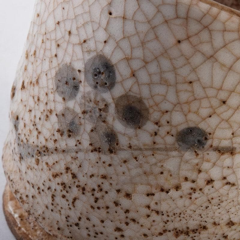 茶道具　古志野　梅絵図　茶碗　時代箱　V　R8652