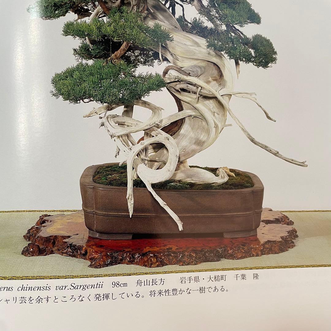 花梨玉杢 葡萄杢 天然木花台 飾り台 盆栽台 時代古木 花梨 玉杢瘤