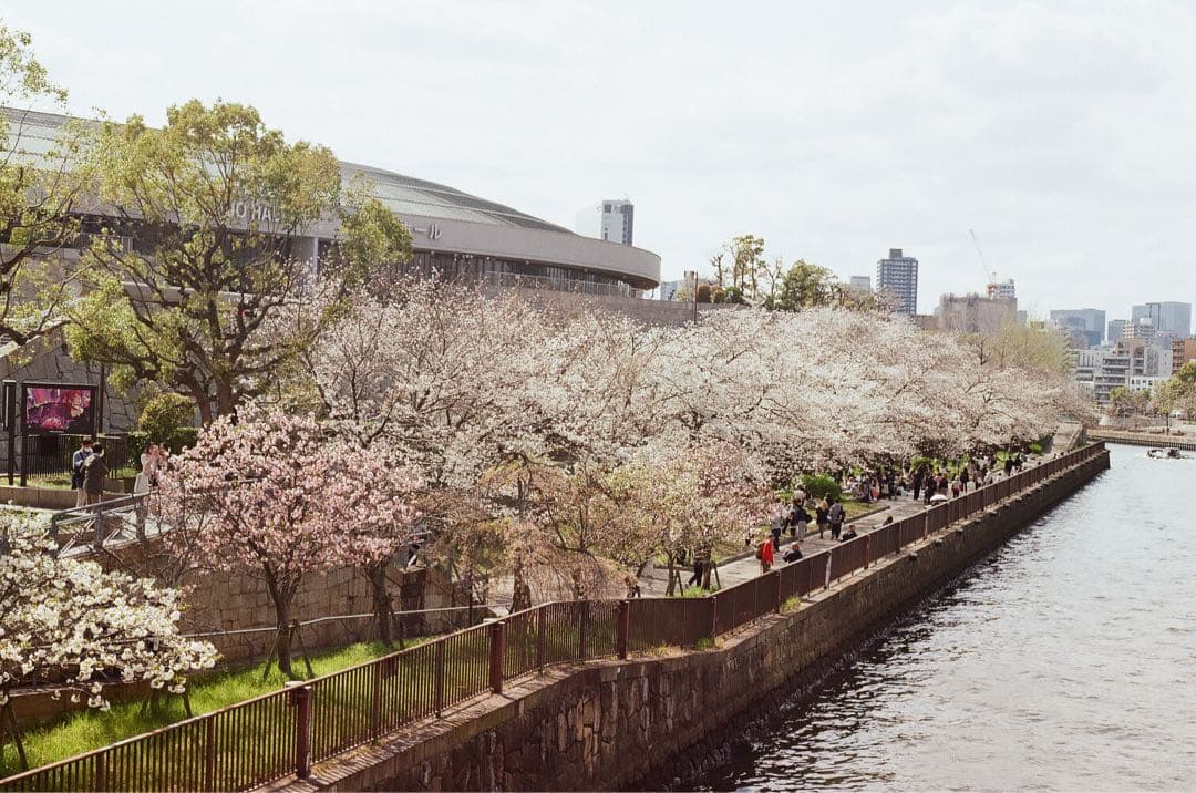 整備品　canon AE-1 black FD 50mm f1.8 s.c.