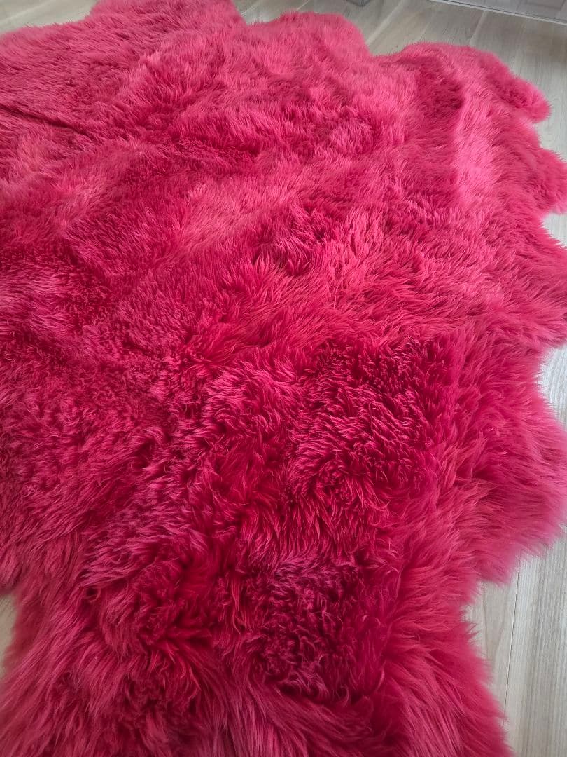 リアルムートンラグ　6匹サイズ セール中