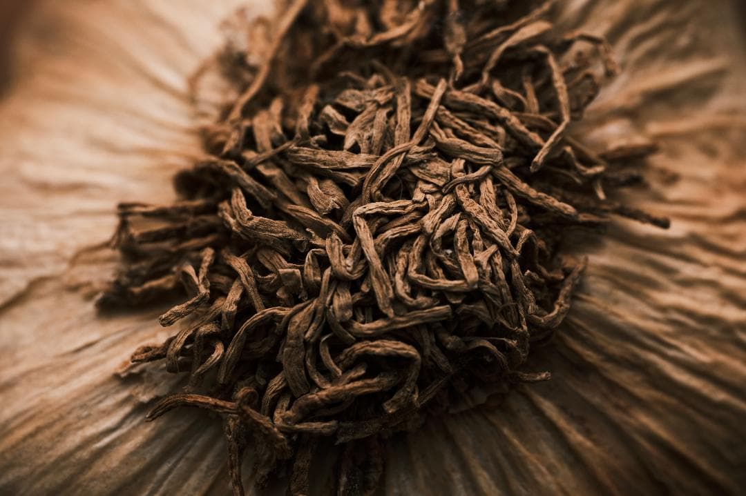 ★マクロ Zeiss Touit 2.8/50M 単焦点レンズ（Xマウント）