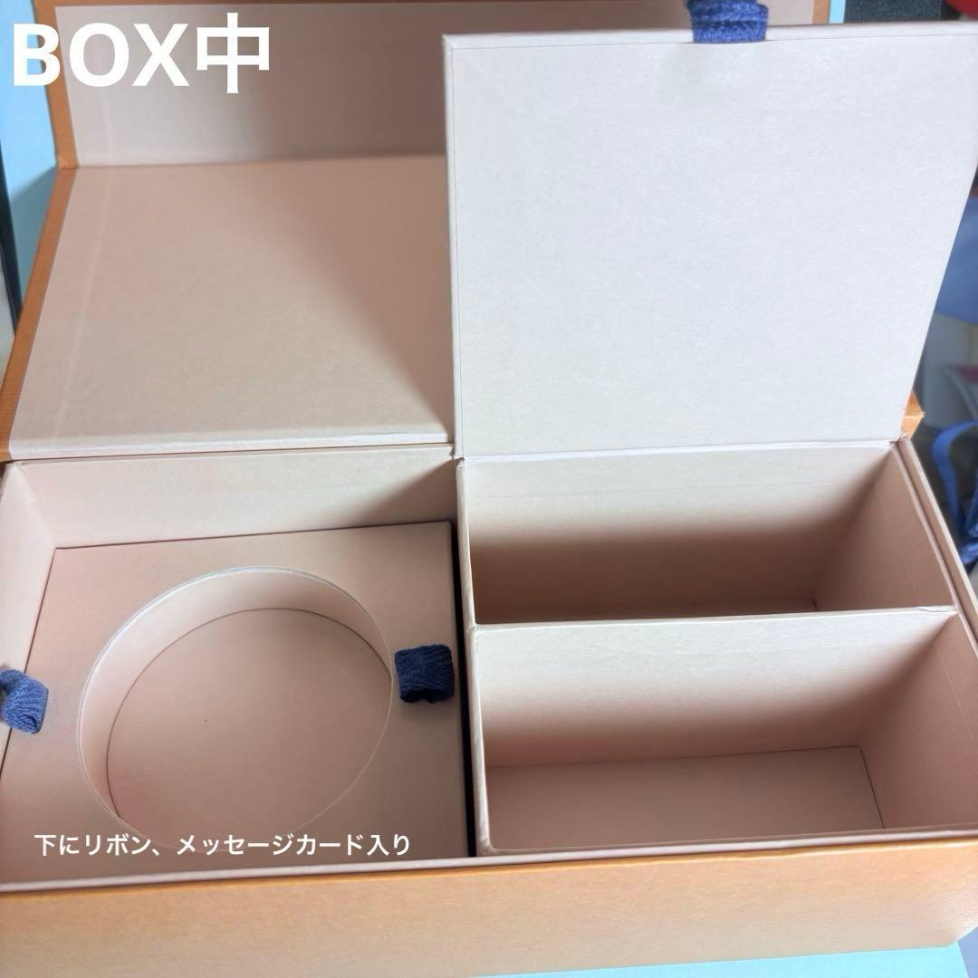 Louis Vuitton ヴィトン ワイヤレスイヤホン ルイヴィトン