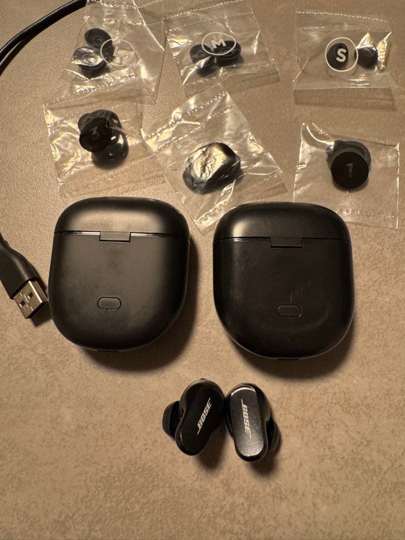 Bose QuietComfort Earbuds II 中古