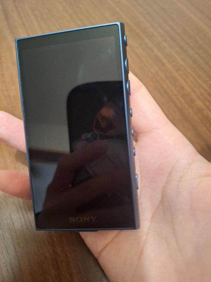 SONY ウォークマン　NW-A105