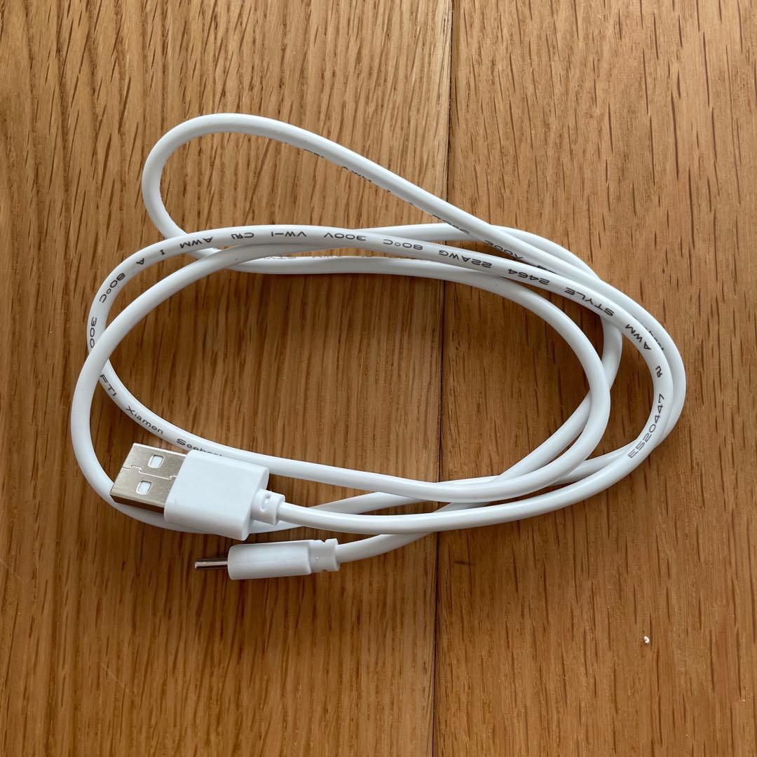 【SALONIA】EMSリフトブラシ　電気ブラシ　美品　匿名配送