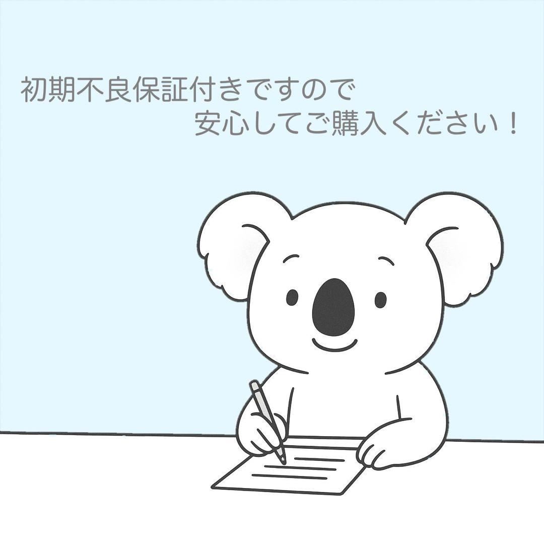 Canon純正 55-250mm 望遠レンズ 美品 a5113