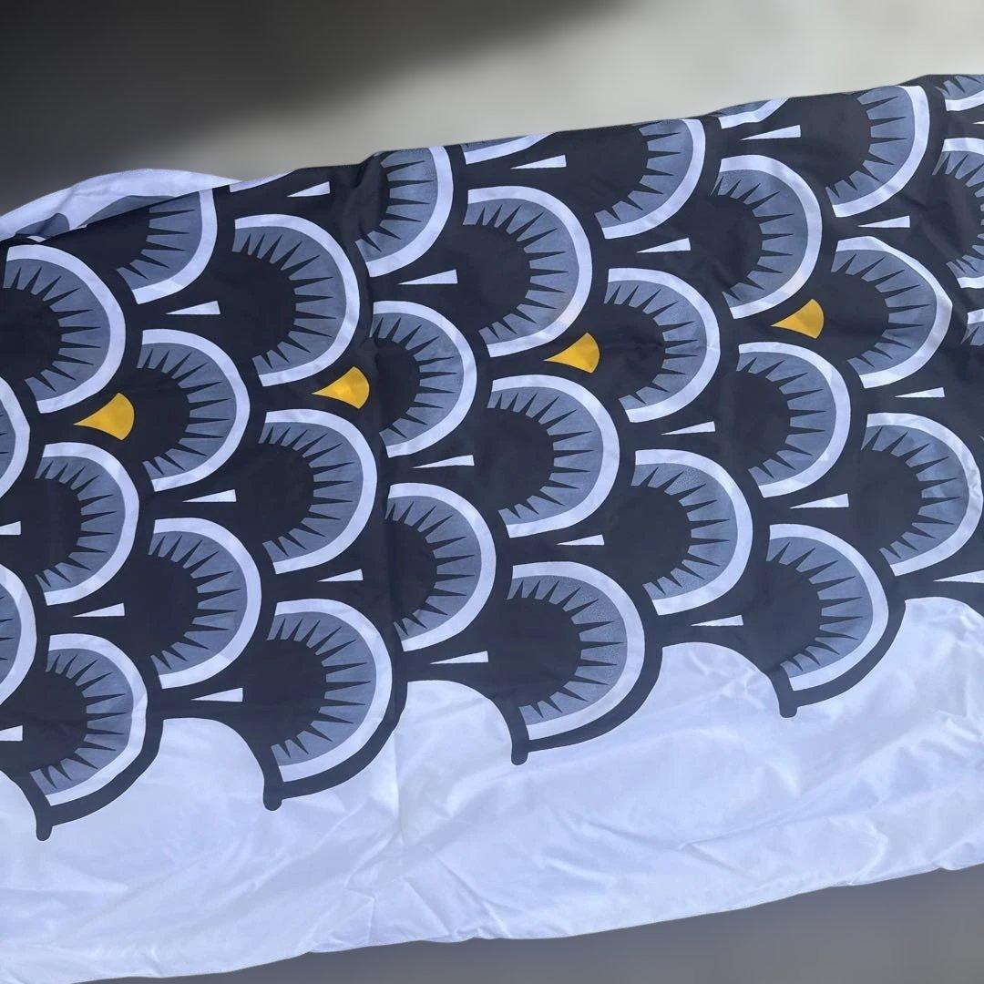 カラフル鯉のぼりセット　太郎鯉