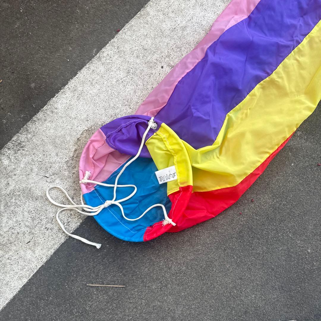 カラフル鯉のぼりセット　太郎鯉