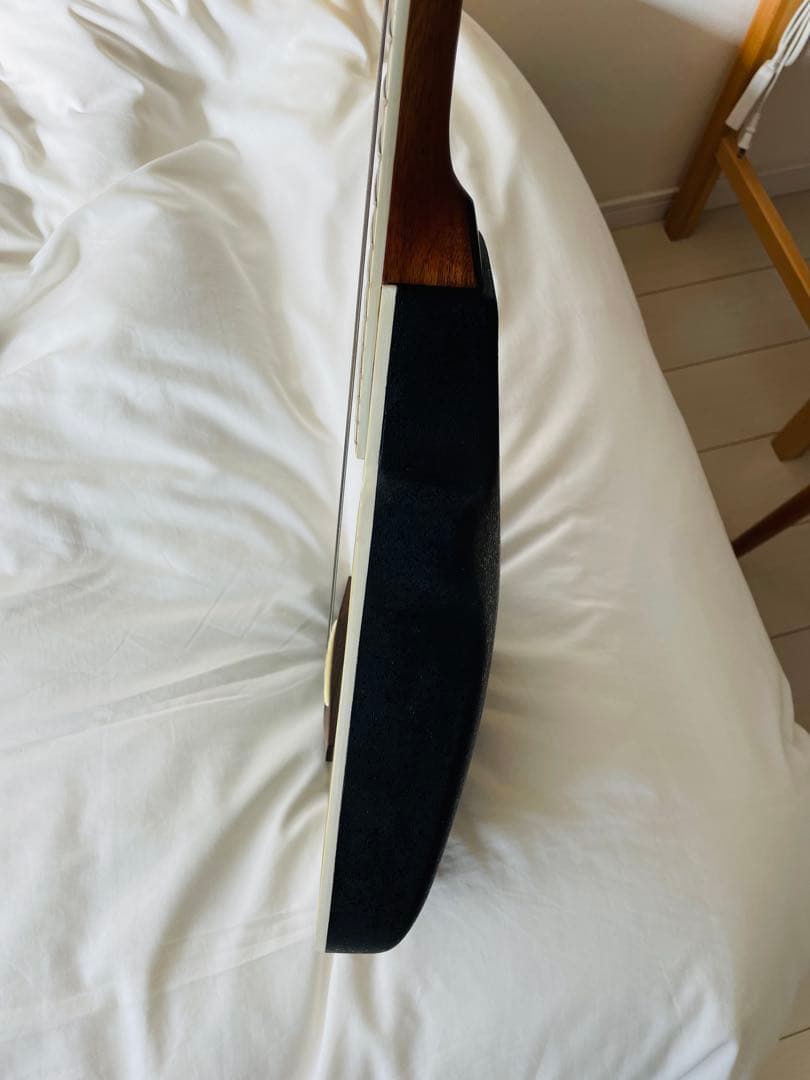 【たいきたいきん】マスタークラフト　ミニエレアコギター