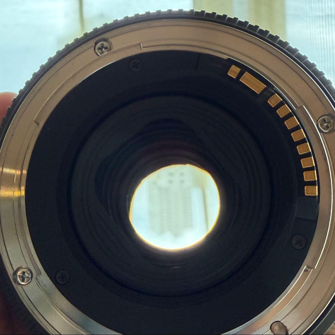 SIGMA シグマ 10-20mm F3.5 EX DC HSM（キヤノン用）