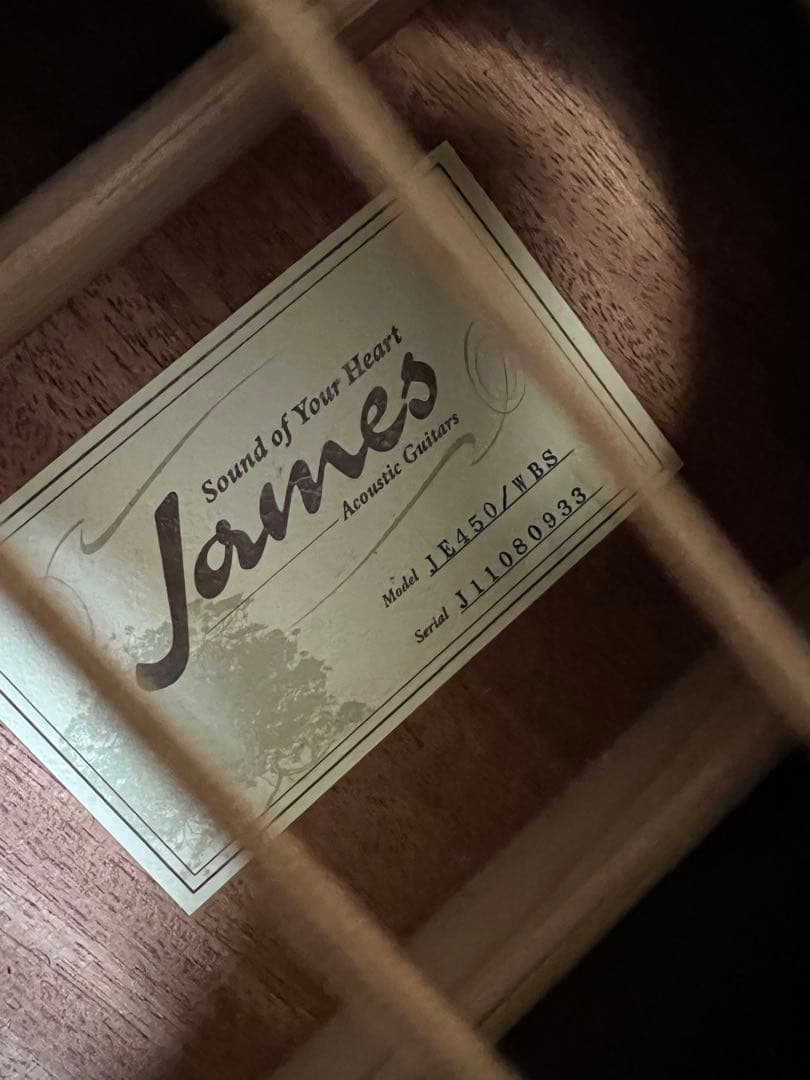 James エレアコ　je450 ソフトケース付き