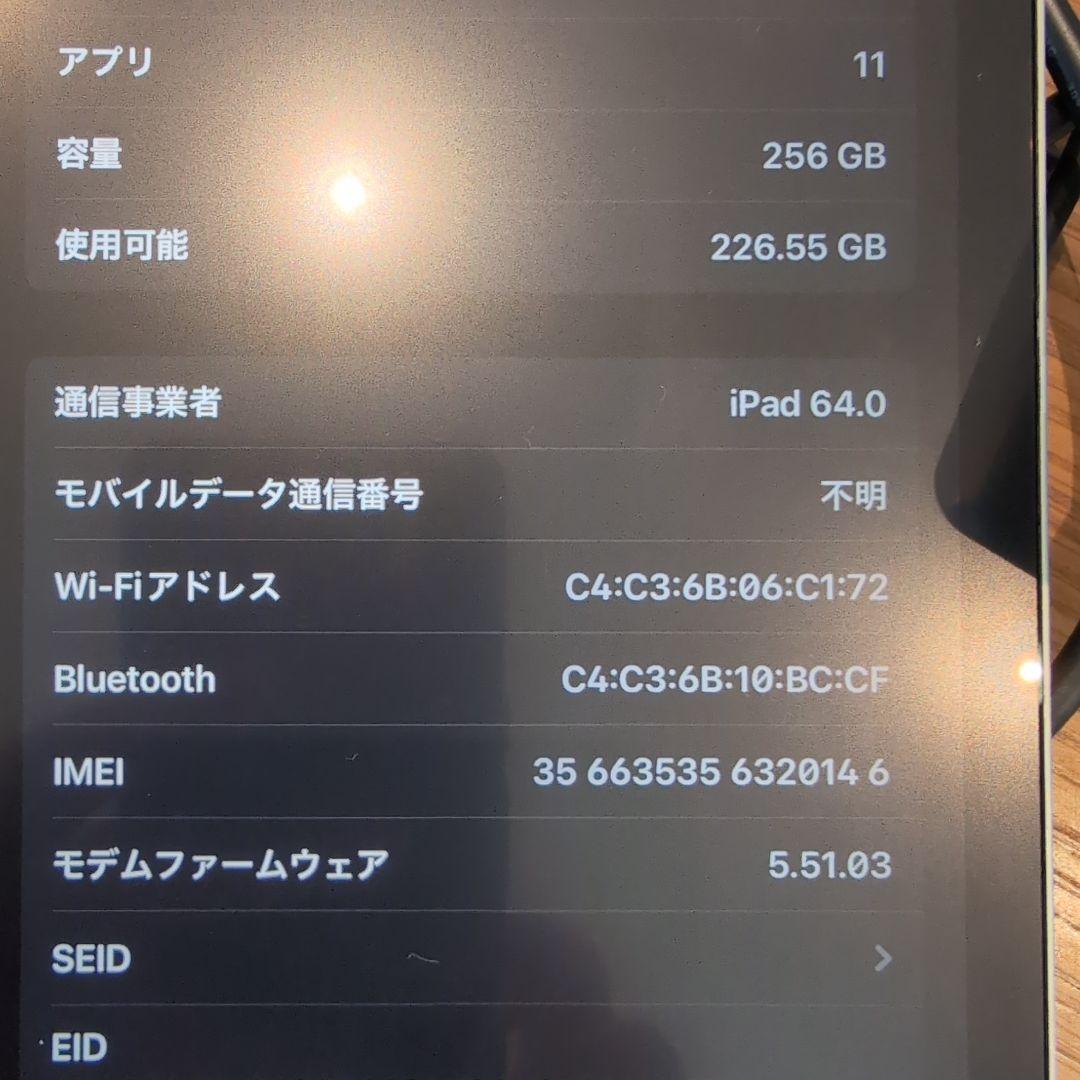 iPad Pro 11インチ Cellular 256GB セット