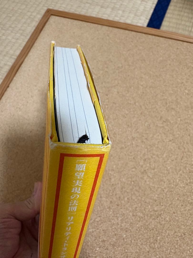 リアリティ・トランサーフィン 2