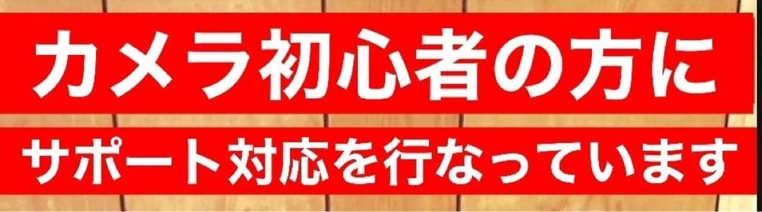 SONY ミラーレス用 超望遠レンズ　サードパーティ製　初心者でもOK サポート