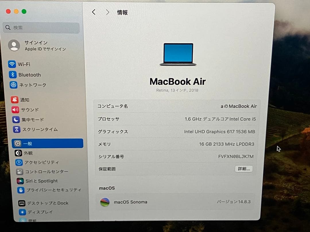 MacBook本体 MacBook Air 2018 16GB 256GB