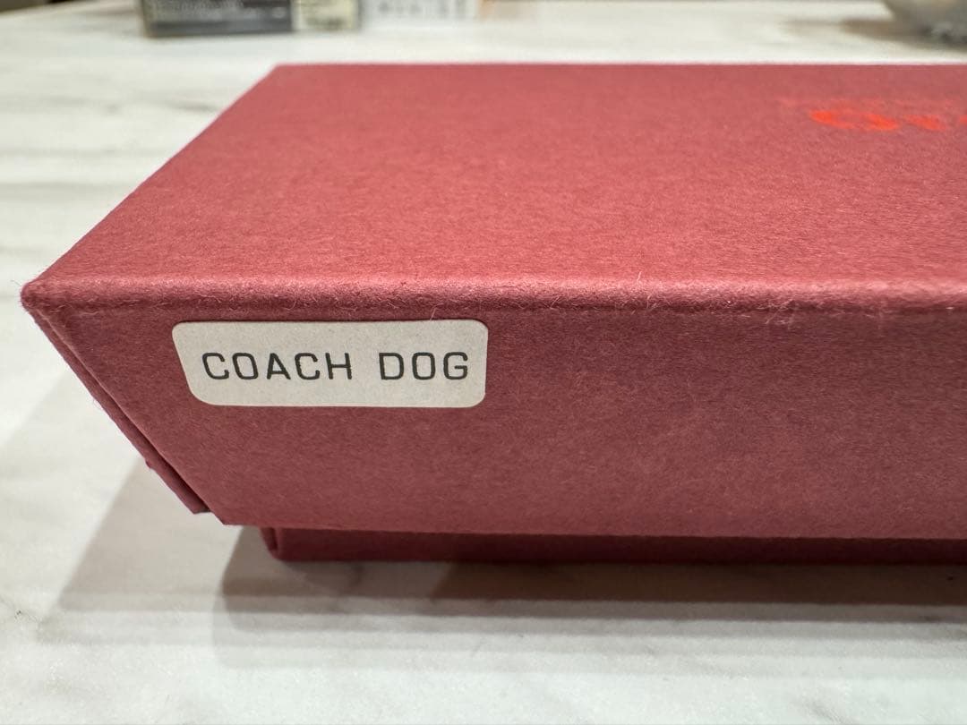 Orca COACH DOG トップウォータールアー3点