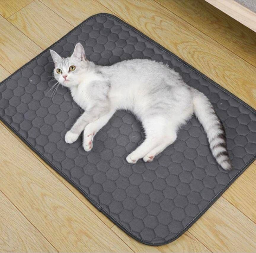 ベージュ2枚 洗える ペットマット ペットシーツ トイレシート 防水 犬 猫