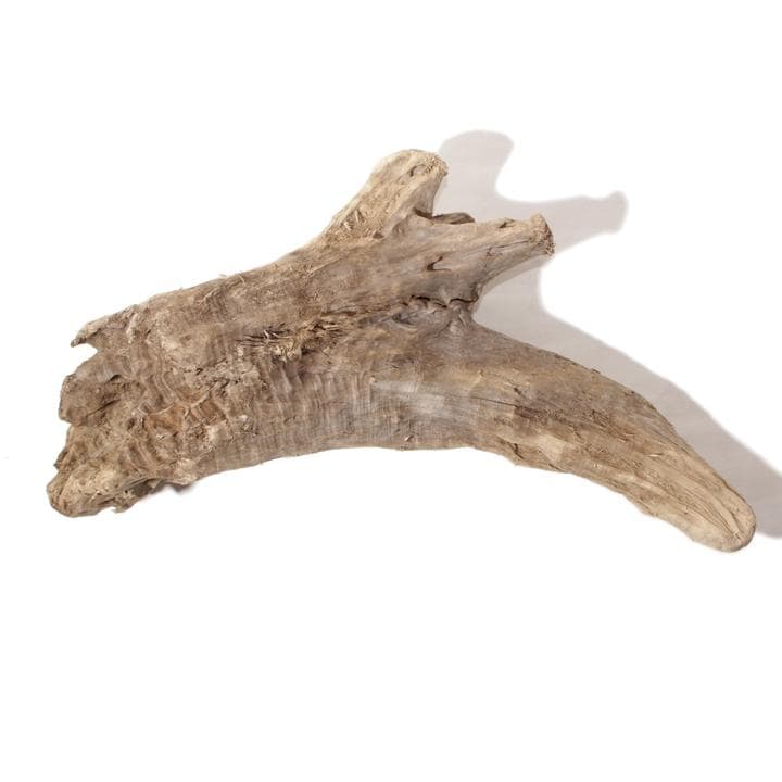 流木 インテリア レイアウト 61cm DIY アクアリウム 天然 rybk17