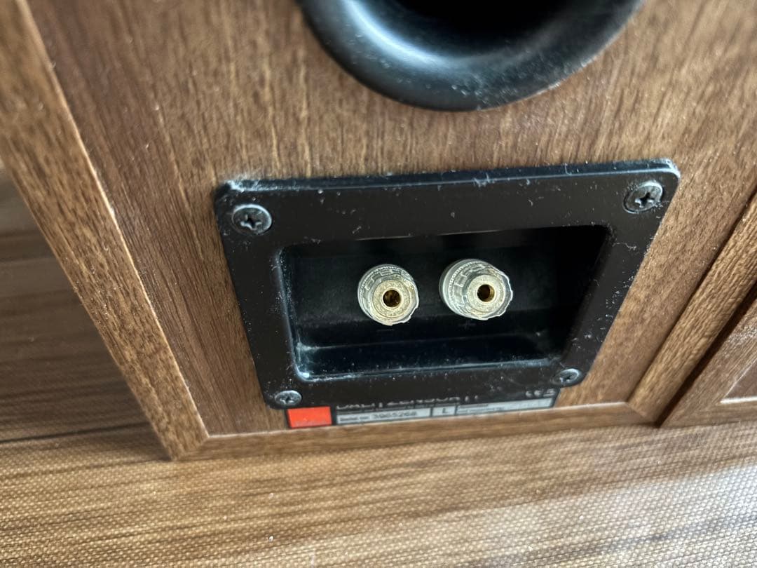 Dali Zensor 1 (ご希望者にはケーブルと中華製アンプお付けします！)