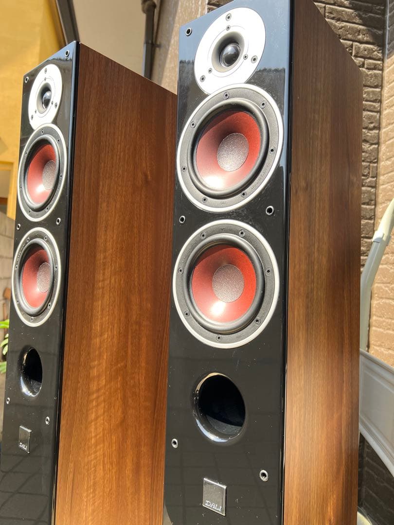 DALI ZENSOR 5 フロアスタンディングスピーカー（木目調仕上げ高品質）