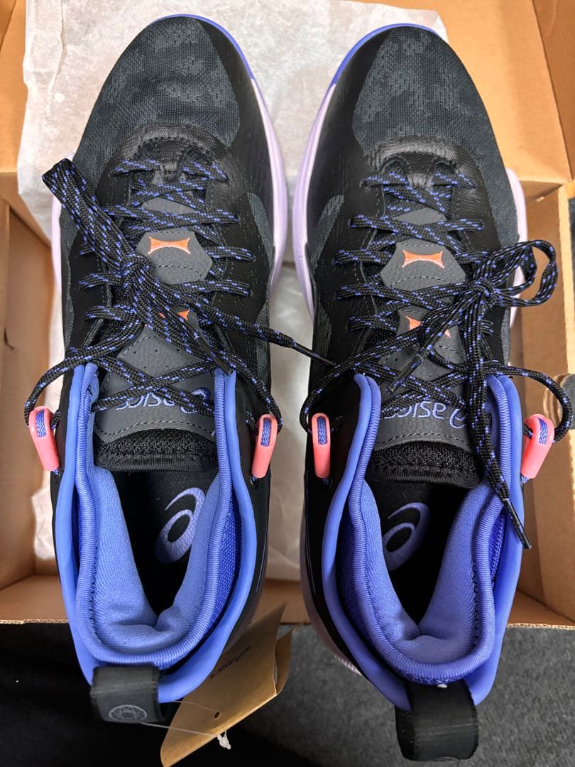 ノヴァサージロー2