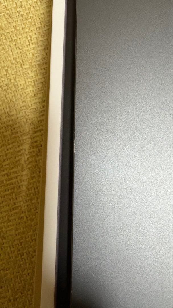 iPad Pro (11インチ) 第1世代 Wi-Fiモデル 64GB