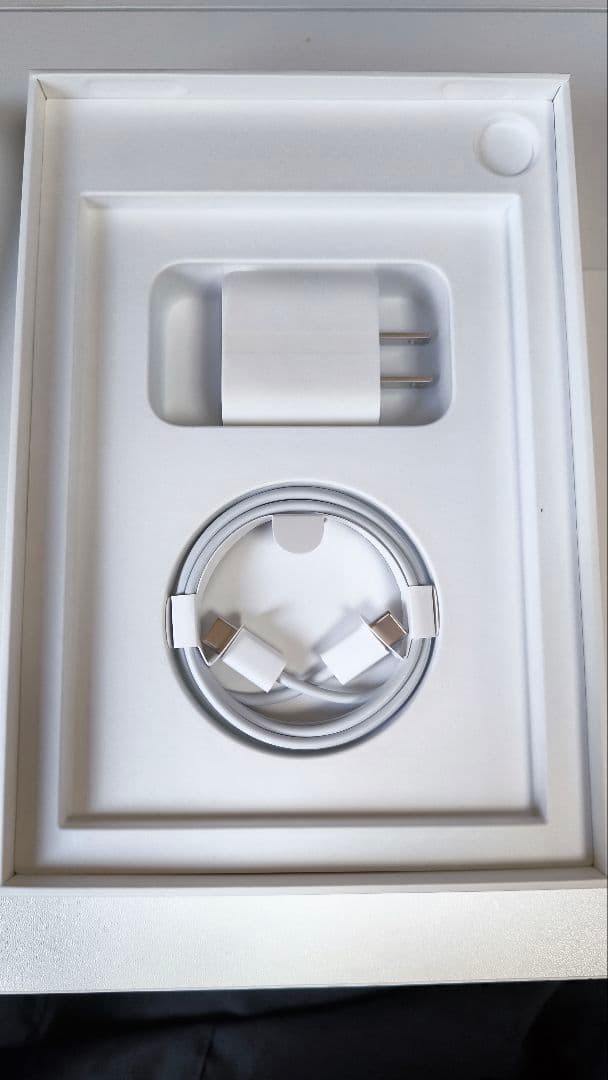 iPad mini 第6世代 256GB シルバー