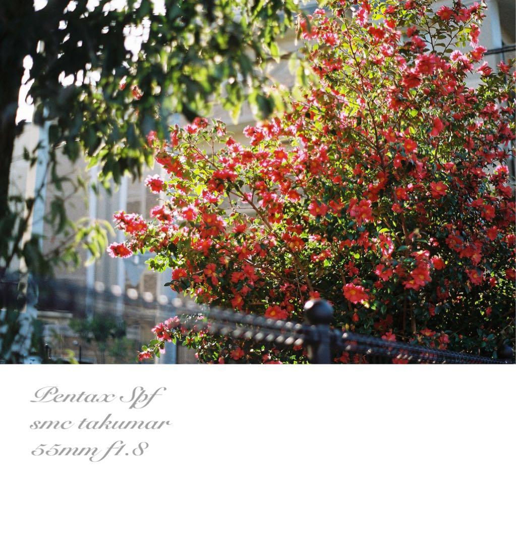 pentax spf フルセット★完動品＊美品＊初期保証付！★作例多数