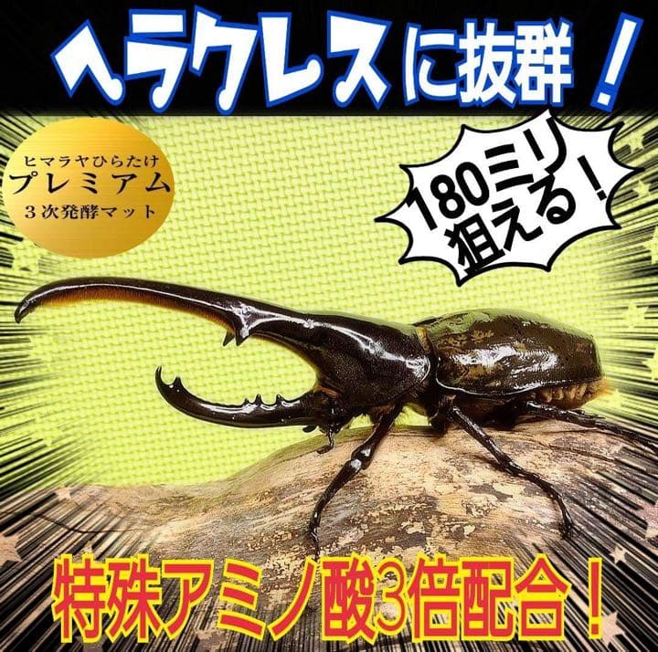 極上！プレミアム発酵カブトムシマット【50L】特殊アミノ酸強化配合！産卵にも抜群