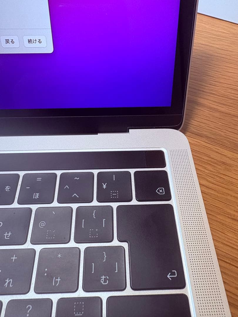 MacBook本体 13inch MacBook Pro 2018 (A1989)