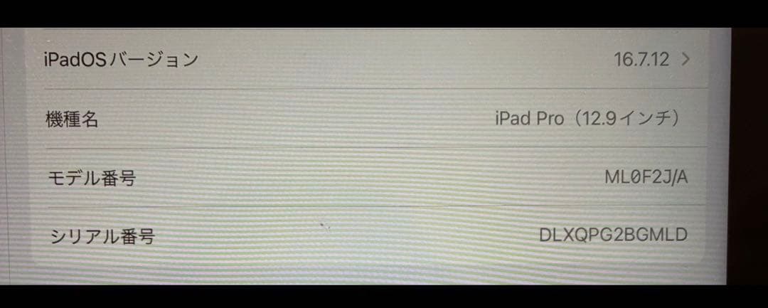 Apple iPad Pro 本体 第1世代 32GB