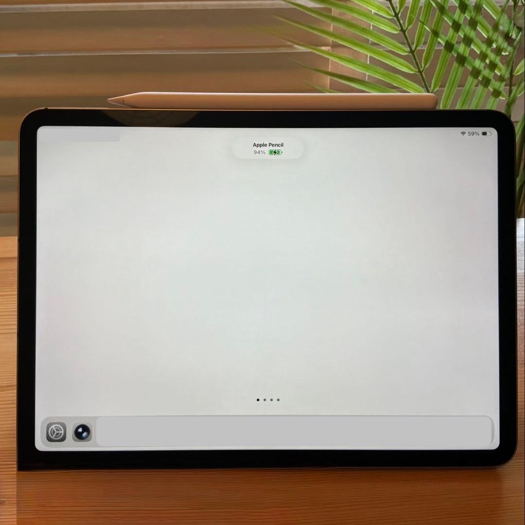 Apple Pencil アップル ペンシル 第2世代 ＜純正品/専用ケース付＞