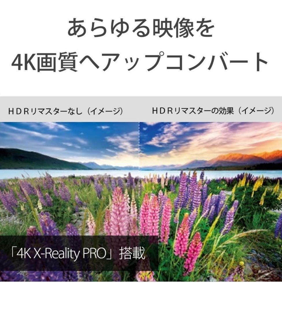 SONY BRAVIA 49インチ 4K HDR テレビ