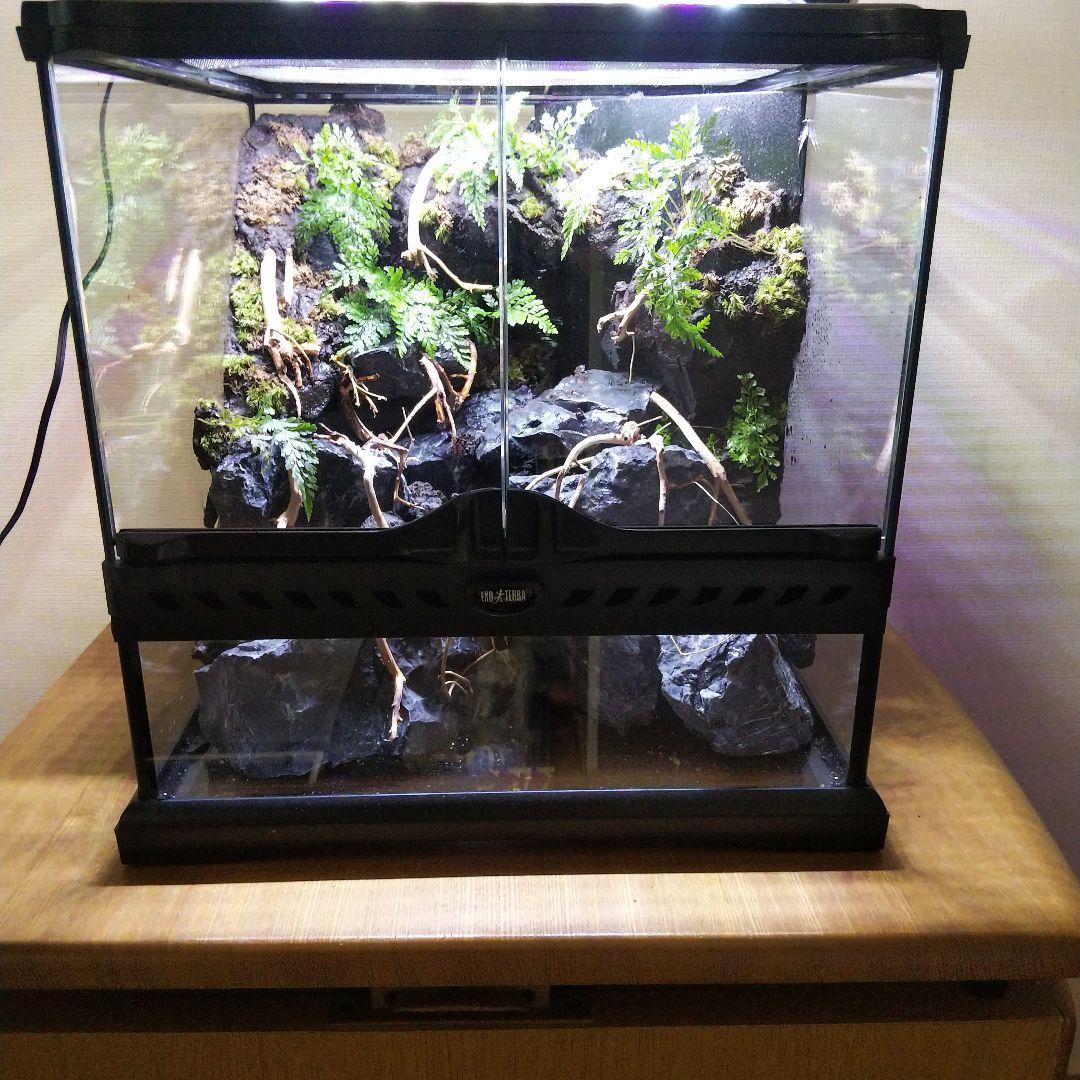【受注生産】アクアテラリウム グラステラリウム