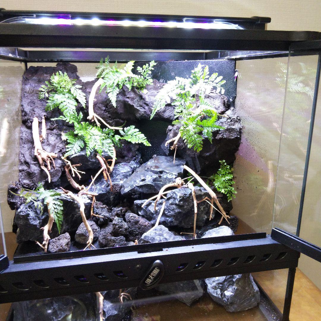 【受注生産】アクアテラリウム グラステラリウム