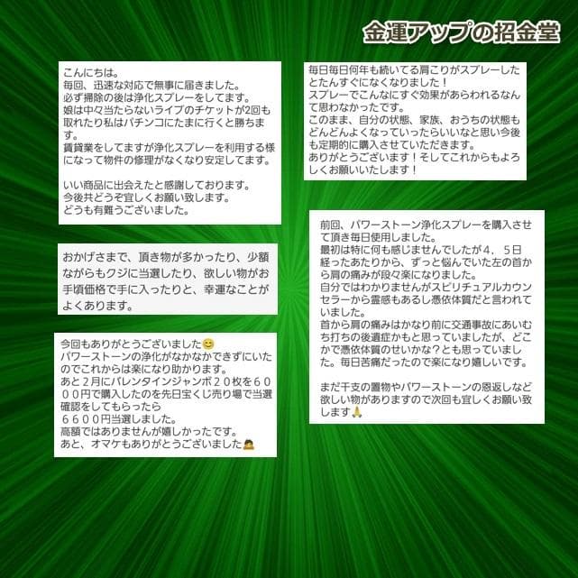 長寿祝い干支置物いのしし（還暦 古希 喜寿 傘寿 米寿 卒寿 白寿 百寿）358