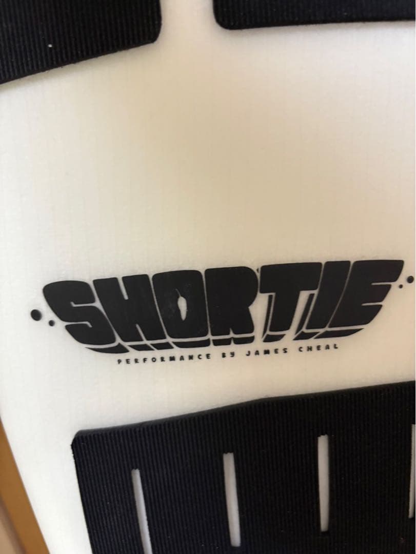 チリサーフボード☆ショーティーモデル☆ツインテックEPS