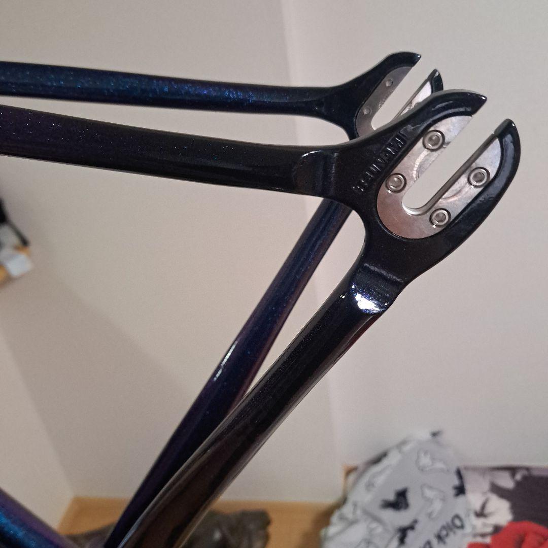 TSUNAMI SNM100 Chameleon 55CM　フレーム