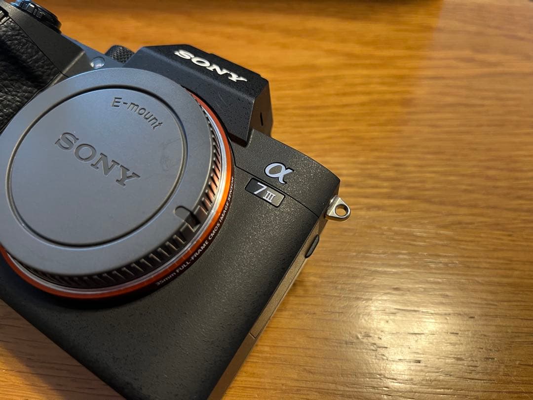 SONY α7Ⅲ バッテリーグリップ ゲージ