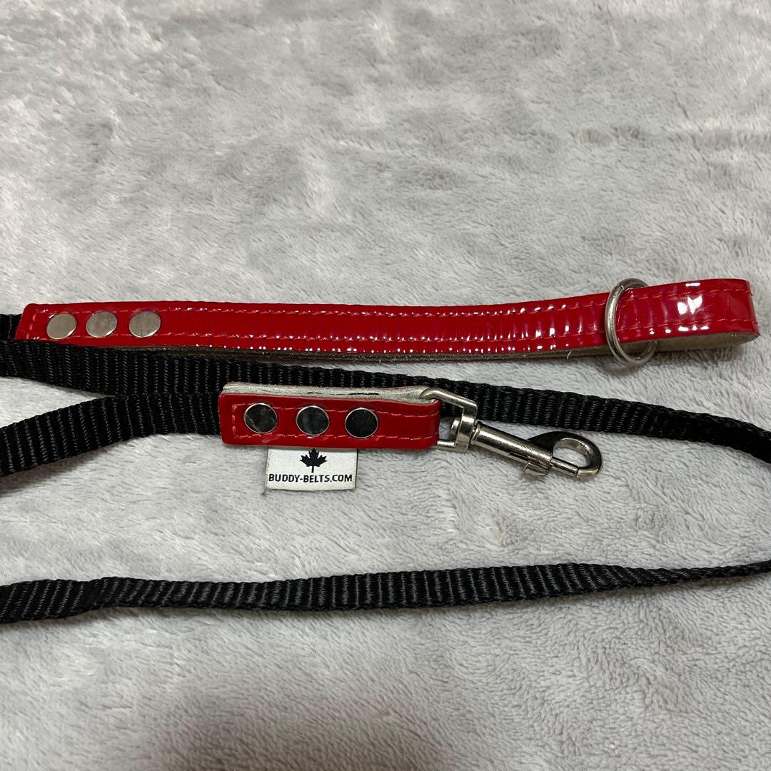 BUDDY BELTエナメルレッド貴重な限定色3.5号&リードSサイズセット