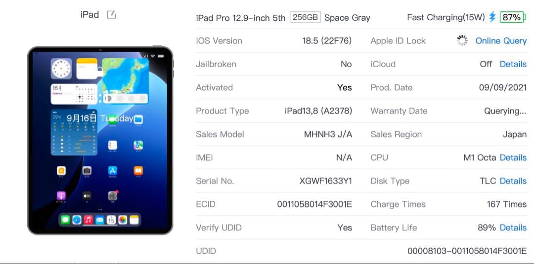 IPAD PRO 12.9in 第５世代256GB Wifiモデル【即日発送】