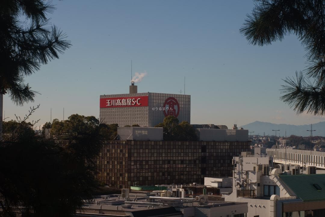 良品！木村文乃使用モデル！Leica Elmarit 90mm F2.8