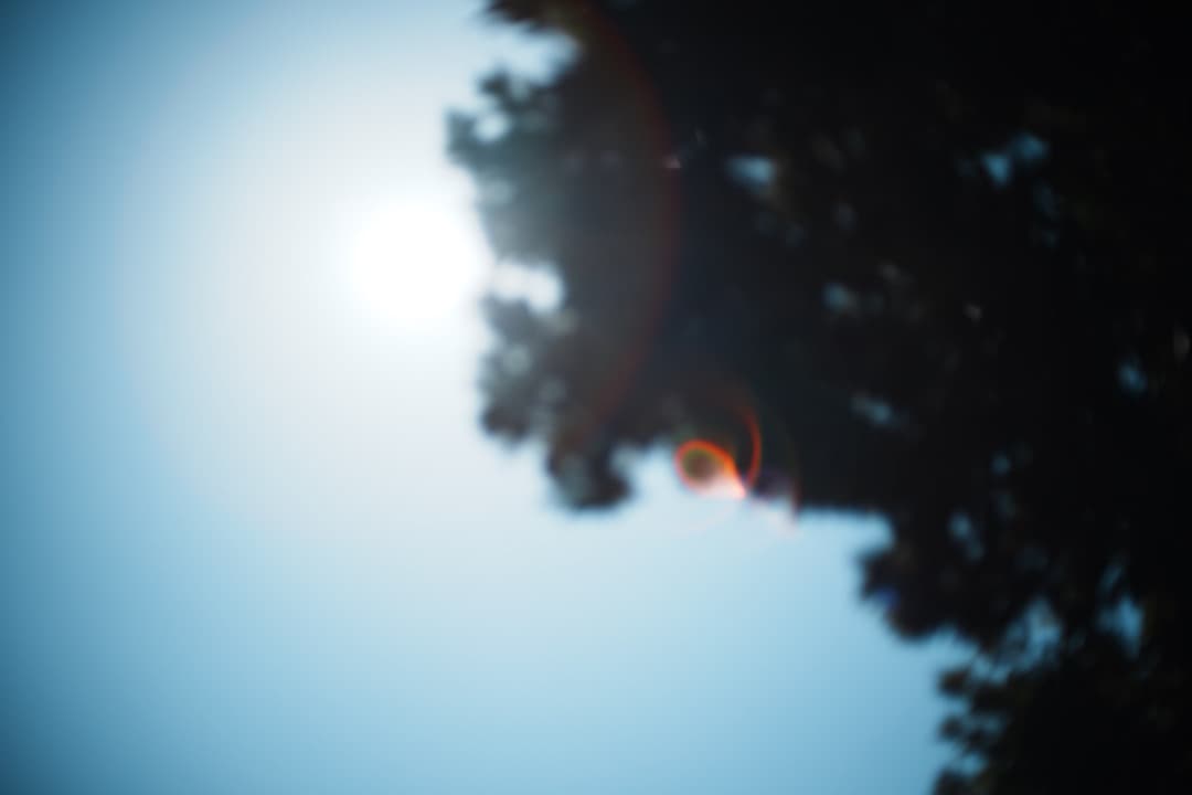 【美品】動作◎ ニコン　Ai Nikkor 50mm F1.4 273