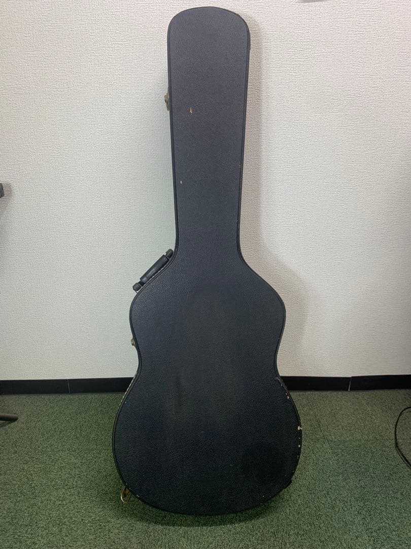 シーガル　S6＋FORK　プレイヤーズコンディション　B-25スタイル